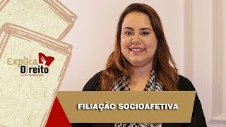 Explica Direito Filiação Socioafetiva  2019 [upl. by Dinesh172]