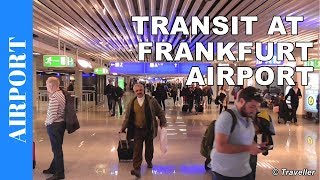 TRANSIT WALK AT FRANKFURT Airport FRA Terminal 1  Connection Flight Transfer Arriving amp Departing [upl. by Ennaihs]